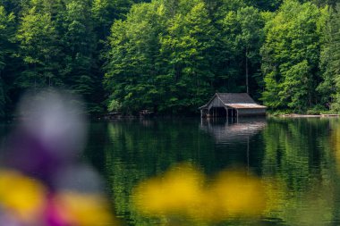 TOPLITZ Gölü üzerinde nefes kesici bir manzara (Toplitzsee, Avusturya, Avrupa)