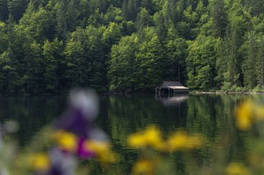 TOPLITZ Gölü üzerinde nefes kesici bir manzara (Toplitzsee, Avusturya, Avrupa)