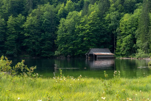 TOPLITZ Gölü üzerinde nefes kesici bir manzara (Toplitzsee, Avusturya, Avrupa)