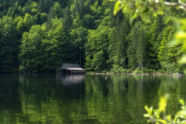 TOPLITZ Gölü üzerinde nefes kesici bir manzara (Toplitzsee, Avusturya, Avrupa)