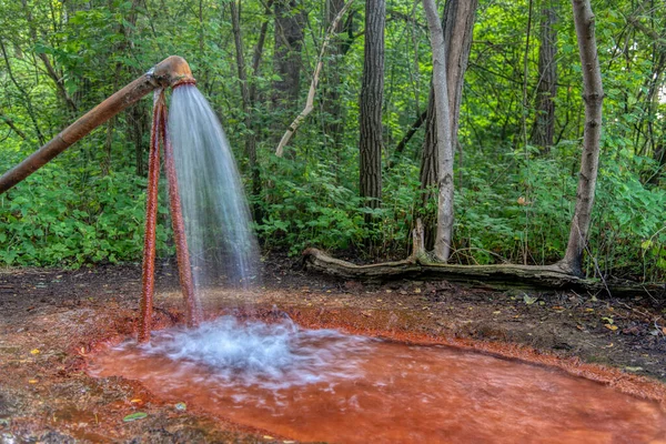 stock image Mineral water spring in forest, Radenci, Slovenia, long exposure