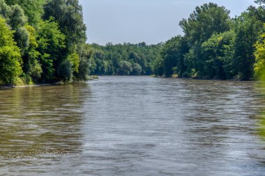 Mura Nehri (Mur) - Slovenya ile Avusturya arasında Slovenya 'da.