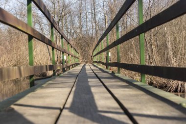 Hotisko Jezero 'daki köprü, Slovenya' nın Prekmurje bölgesindeki Hotiza yakınlarında ilkbahar başlarında