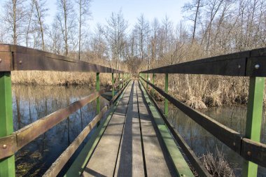Hotisko Jezero 'daki köprü, Slovenya' nın Prekmurje bölgesindeki Hotiza yakınlarında ilkbahar başlarında