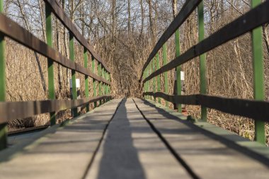 Hotisko Jezero 'daki köprü, Slovenya' nın Prekmurje bölgesindeki Hotiza yakınlarında ilkbahar başlarında