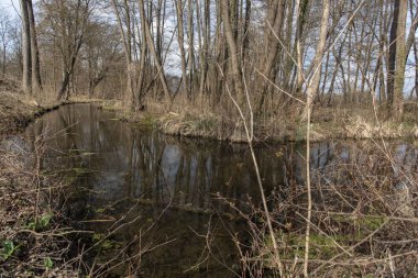 Hotisko Jezero, Slovenya 'nın Prekmurje bölgesinde Hotiza yakınlarında ilkbahar başı