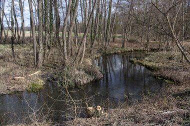 Hotisko Jezero, Slovenya 'nın Prekmurje bölgesinde Hotiza yakınlarında ilkbahar başı