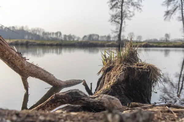 Hotisko Jezero, Slovenya 'nın Prekmurje bölgesinde Hotiza yakınlarında ilkbahar başı