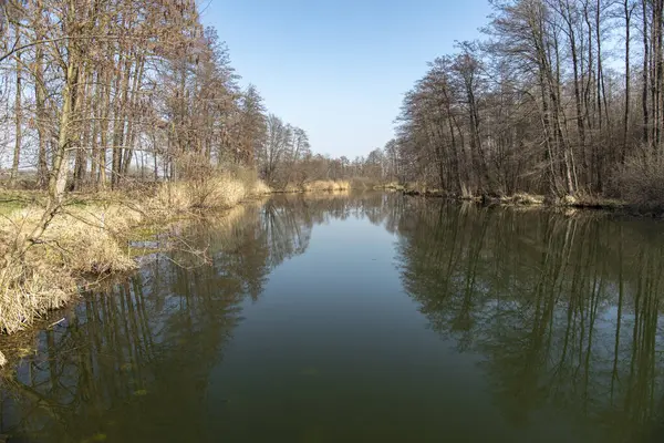 Hotisko Jezero, Slovenya 'nın Prekmurje bölgesinde Hotiza yakınlarında ilkbahar başı