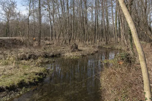 Hotisko Jezero, Slovenya 'nın Prekmurje bölgesinde Hotiza yakınlarında ilkbahar başı