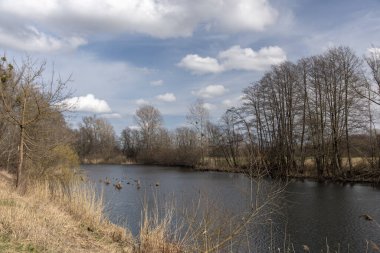 Mura Nehri (Mur) ilkbaharın başlarında, Slovenya, Avrupa