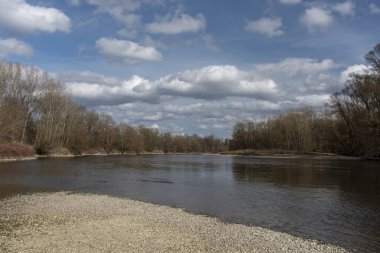 Mura Nehri (Mur) ilkbaharın başlarında, Slovenya, Avrupa