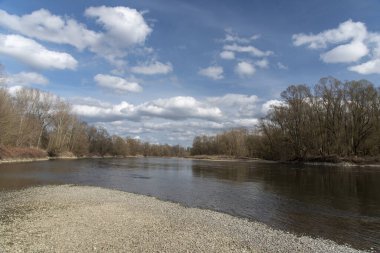 Mura Nehri (Mur) ilkbaharın başlarında, Slovenya, Avrupa
