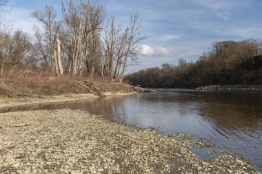 Mura Nehri (Mur) ilkbaharın başlarında, Slovenya, Avrupa