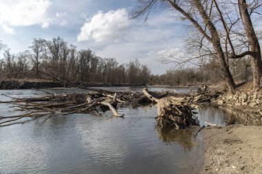 Mura Nehri (Mur) ilkbaharın başlarında, Slovenya, Avrupa
