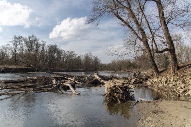 Mura Nehri (Mur) ilkbaharın başlarında, Slovenya, Avrupa
