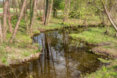 Bobri, Dolnja Bistrica Mura, Slovenya, Prekmurje nehrinden bir avare.