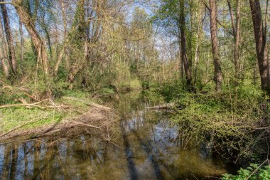 Bobri, Dolnja Bistrica Mura, Slovenya, Prekmurje nehrinden bir avare.