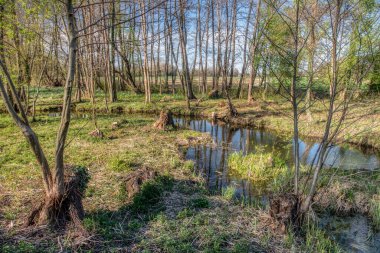 Bobri, Dolnja Bistrica Mura, Slovenya, Prekmurje nehrinden bir avare.