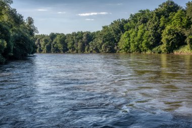 Slovenya 'nın Prekmurje kentindeki Mura nehri güneşli yaz gününde