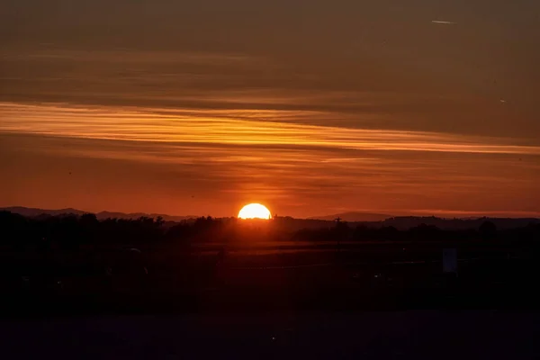 Günbatımı manzarası, arka planda bir orman ve çim tarlası var..