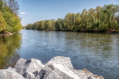 Slovenya 'nın Prekmurje kentindeki Mura nehri güneşli yaz gününde