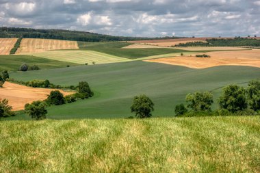 Tarım alanının dalgalı alanları için mükemmel güneş ışığı. Güney Moravya bölgesi, Çek Cumhuriyeti, Avrupa.