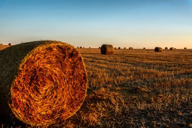 Kyjov, Hodonin İlçesi, Güney Moravya Bölgesi, Moravya, Çek Cumhuriyeti yakınlarındaki yuvarlanan tarlalarda saman balyalarının Idyllic görünümü