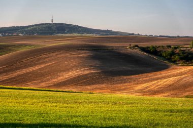 Tarım alanının dalgalı alanları için mükemmel güneş ışığı. Güney Moravya bölgesi, Çek Cumhuriyeti, Avrupa.
