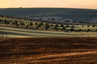 Tarım alanının dalgalı alanları için mükemmel güneş ışığı. Güney Moravya bölgesi, Çek Cumhuriyeti, Avrupa.
