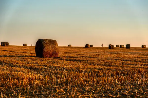 Kyjov, Hodonin İlçesi, Güney Moravya Bölgesi, Moravya, Çek Cumhuriyeti yakınlarındaki yuvarlanan tarlalarda saman balyalarının Idyllic görünümü