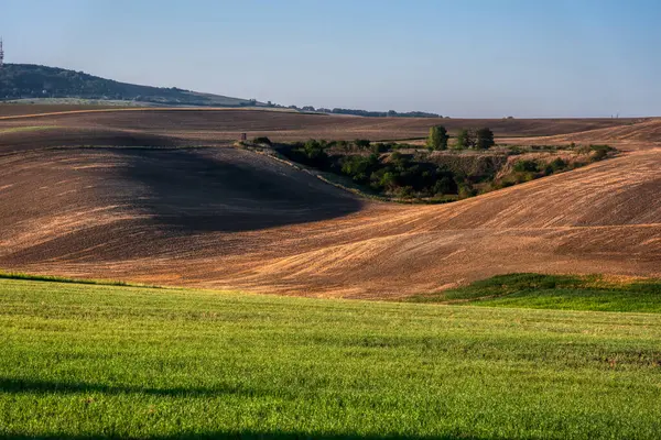 Tarım alanının dalgalı alanları için mükemmel güneş ışığı. Güney Moravya bölgesi, Çek Cumhuriyeti, Avrupa.