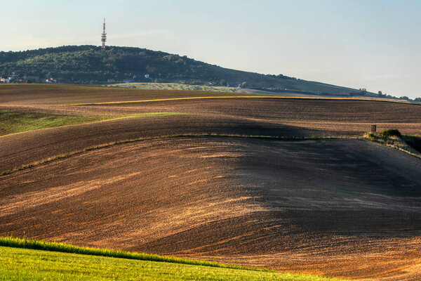 Perfect sunlight on the wavy fields of agricultural area. Location place of South Moravia region, Czech Republic, Europe.