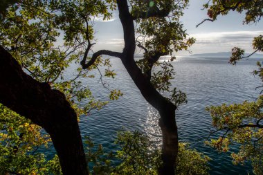 Bir Lovran, Lovran kıyı şeridi manzara Kvarner Bay, Hırvatistan'ın Batı kıyısında yer alan