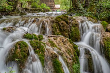 Plitvice Gölleri Ulusal Parkı 'nın cennet şelalelerinin huzurlu manzarası. Hırvat ünlü tatil beldesi.