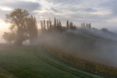 Idyllic view of Green Terraced Field and Mountains on Lush Lands on autumn foggy morning clipart