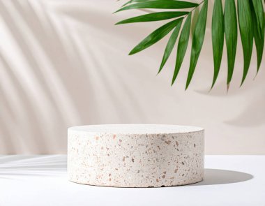 Minimalist Terracotta Sahnesi Yuvarlak Taş Durağı ve Doğal Yeşillik