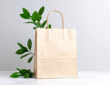 Yeşil Renkli Bej Kağıt Alışveriş Çantası