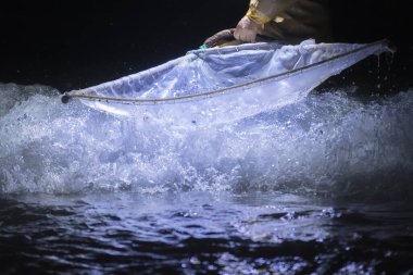 Tayvan 'da yılan balığı balıkçılığı yapan yılan balıkları.