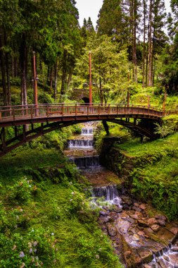 Orman ve Tayvan dağlarında bir nehir