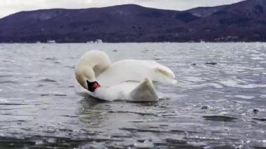 Japonya 'daki Yamanakako Gölü' ne yakın çekim.