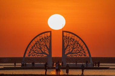 Tainan, Tayvan, 22 Mart 2025. İnsanlar güzel bir gün batımını ve hayat ağacını izliyor.