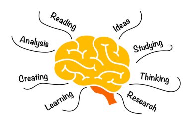 İnsan Beyni Bilgileri. Okul Eğitim Konsepti. Yaratıcı düşünme illüstrasyonu. Fikir Beyin Fırtınası Oluşturuluyor. 