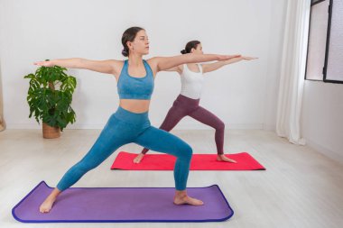 Beyaz kadınlar yoga minderleri üzerinde poz veriyorlar. Spor, esneklik, güç, sağIık ve denge ve hareket üzerine odaklanmış sağlıklı yaşam tarzı kavramları için ideal..