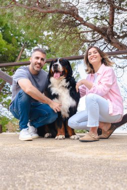 Dikey Mutlu Portre çifti Bernese Dağ Köpeği ile doğal ortamlarında bağ kuruyor. Gülümseyen ve rahatlatan bir an, yoldaşlık, sevgi ve neşe dolu parlak, taze bir bahar gününde. 