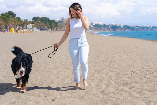 Genç bir kadın, güneşli bir kumsalda, palmiye ağaçlarıyla Bernese Mountain Dog 'la yürüyor. Mavi gökyüzünün altında rahatlatıcı bir an, deniz kenarında yürümek için mükemmel bir gün, sıradan ve doğal bir sahne.. 