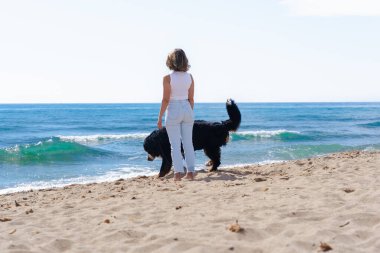 Kumlu sahil boyunca köpeğiyle yürüyen genç bir kadının arka görüntüsü. Her ikisi de okyanusa bakıyor, doğada birlikte huzurlu ve güneşli bir anın tadını çıkarıyorlar, dalgalar ve dinginlik onları kuşatıyor.. 