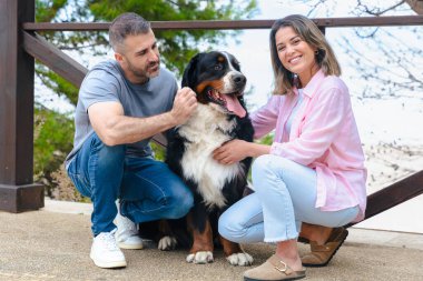 Bernese Dağ Köpeği ile doğal ortamda bağ kuran mutlu bir çift portresi. Gülümseyen ve rahatlatan bir an, yoldaşlık, sevgi ve neşe dolu parlak, taze bir bahar gününde. 