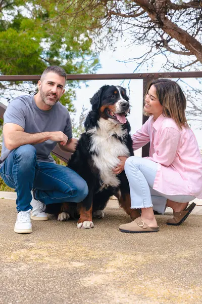 Dikey Mutlu Portre çifti Bernese Dağ Köpeği ile doğal ortamlarında bağ kuruyor. Gülümseyen ve rahatlatan bir an, yoldaşlık, sevgi ve neşe dolu parlak, taze bir bahar gününde. 