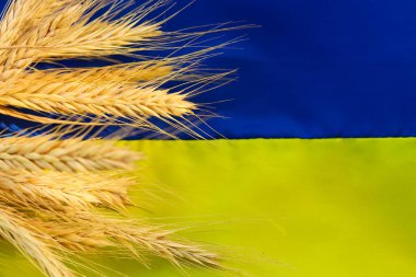 Ukrayna bayrağında buğday kulakları, özgürlük kavramı, düzlük, kopyalama alanı, Ukrayna 'nın bağımsızlığı 